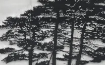 NUEVOS VIAJES EXTRAORDINARIOS