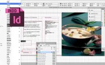 INDESIGN: CURSO PRÁCTICO PARA LA MAQUETACIÓN PROFESIONAL