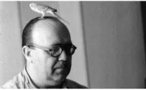 MALLORQUÍ, ELEMENTO SINGULAR