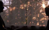 CONFERENCIA: ¿ERES ALTAMENTE SENSIBLE?