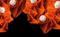 COLECCIÓN RENACIMIENTO