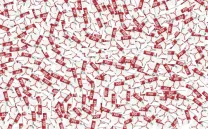 CREA UN PDF INTERACTIVO