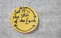 TALLER SOIL CITY - ISLARIO MANZANARES