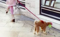 MUERTE A LOS GRANDES RELATOS