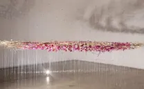 ASTRONOMÍA + BOTÁNICA + ARTE