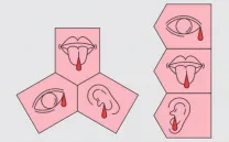 POCO HECHO / MEDIUM RARE