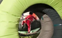 ¿QUÉ ANIMAL ES ESTE?