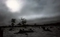 Solitude at the End of the World (2002-2005)