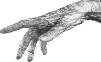 PRESENTACIÓN DEL LIBRO: COMO GOTA DE AGUA