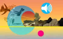 RADIO MUTANTE: COMUNICADOR INTERESPECIAL