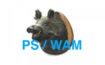 PSWAM. Piano Sonatas Wolfgang Amadeus Mozart