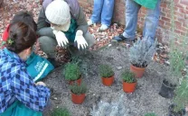 TALLER PARA EL CUIDADO DEL JARDÍN AVANT GARDEN