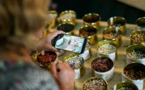 BIS / JORNADAS DE INTERCAMBIO DE SEMILLAS