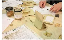 JORNADA DE INTERCAMBIO DE SEMILLAS