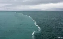 Barzaj exposicion de los artistas en residencia El Ranchito