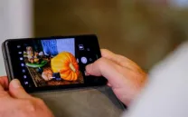 BIS: JORNADA DE INTERCAMBIO DE SEMILLAS