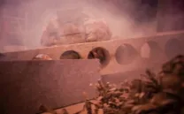 THE BOOGIE-WOOGIE GHOST