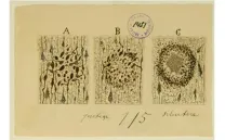 CHARLAS INSPIRADORAS