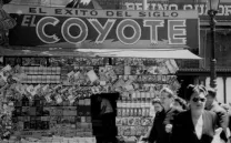 HACIA UN NUEVO PARADIGMA LECTOR