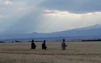 DEAD DONKEYS FEAR NO HYENAS