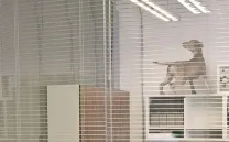 ENCUENTROS CON ARTISTAS