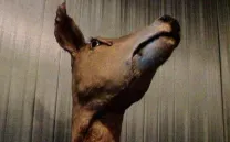 EBIR NARI (BEYOND THE RIVER)