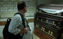 EL COLOR DEL CAMALEÓN