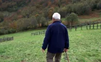 EL NOME DE LOS ÁRBOLES