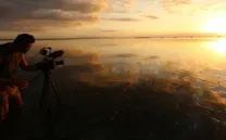 EL TRIÁNGULO DE CORAL