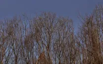 EQUÍ Y N´OTRU TIEMPU