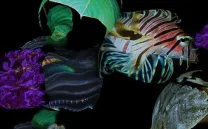 Matadero Madrid se convierte en altavoz de la emergencia climatica con la exposicion Eco-visionarios