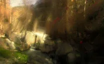 EXPLORACIÓN DEL PAISAJE: CORTOS DE LOIS PATIÑO. NOVÍSIMO CINE ESPAÑOL