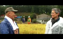 GRAN TERREMOTO DEL ESTE DE JAPÓN