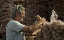 GRECIA: REINVENTARSE PARA SOBREVIVIR