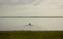 EJERCICIOS DE MEMORIA