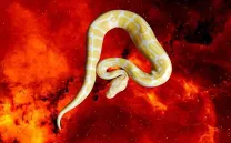 SONSOLES RODRÍGUEZ Y GEMA MELGAR PRESENTAN: INVIERNO, UNA PROPUESTA QUE SE DESARROLLA EN VERANO