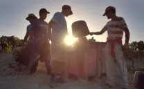 JEREZ &amp; EL MISTERIO DEL PALO CORTADO