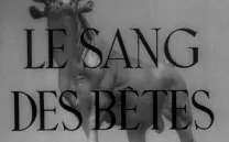 LE SANG DES BÊTES + SANTUARIOS