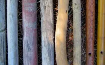 LEER LA MADERA, TRES VISIONES INSÓLITAS