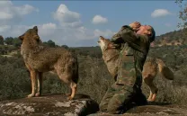 MARCOS, EL LOBO SOLITARIO