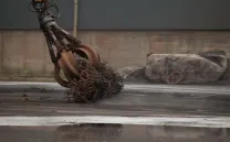 MARIPOSAS EN EL HIERRO