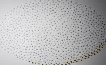 MENSAJES: ¿PÚBLICOS O PRIVADOS?