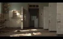 NUEVOS REALIZADORES INTERNACIONALES (II)