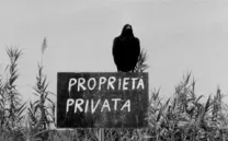 PAJARITOS Y PAJARRACOS