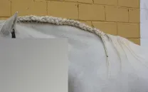 Los ojos serán lo último en Pixelarse Patricia Domínguez