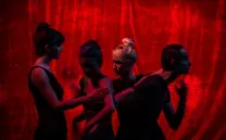 ESTOY PENSANDO EN TORTUGAS