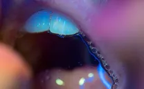 Jorge Mirón, Alejandría Cinque