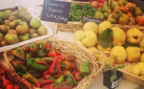 MADRID PRODUCTORES MADRID PRODUCTORES
