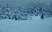 CORTOS SELECCIÓN DOCUMENTAMADRID 2004-2016