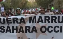 SESIÓN DE LA PLATAFORMA DE NUEVOS REALIZADORES